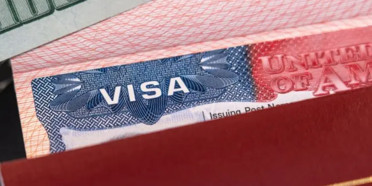 EU alista la revocación de visas más cuantiosa de su historia; afectaría hasta a 200 mil personas