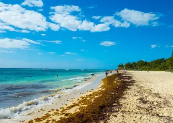 Semar reduce alerta por sargazo en Quintana Roo: baja el recale en costas