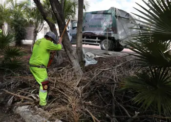 Atiende Ayuntamiento de BJ parques de la SM 12 con jornada de limpieza