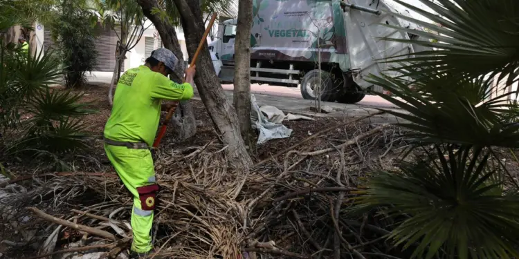 Atiende Ayuntamiento de BJ parques de la SM 12 con jornada de limpieza