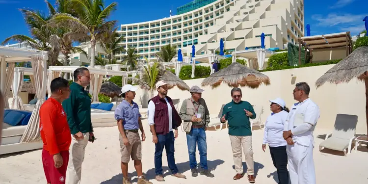 Verifica Dirección General de Ecología manejo de corral de protección de tortugas marinas en Hotel Live Aqua Cancún