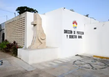 Garantiza Instituto de Protección y Bienestar Animal destino digno para animales fallecidos
