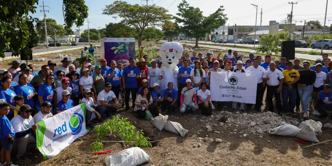 Arranca Fase III de “Arboriza Cancún” rumbo a 11 mil árboles