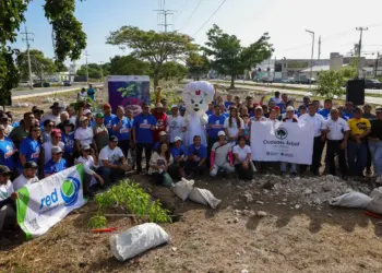 Arranca Fase III de “Arboriza Cancún” rumbo a 11 mil árboles