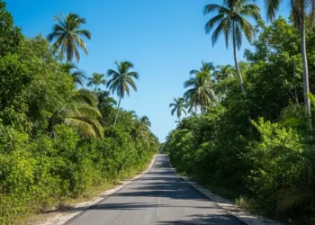 Senador de Morena solicita licencia para coordinar defensa en Quintana Roo