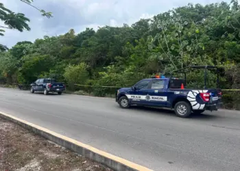 Hallan cadáver putrefacto cerca de Av. Las Torres en Cancún