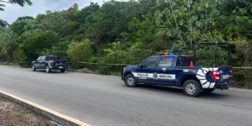 Hallan cadáver putrefacto cerca de Av. Las Torres en Cancún