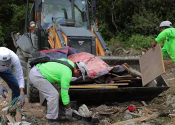 Ayuntamiento de Cancun retira 78 toneladas de basureros clandestinos