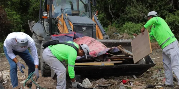 Ayuntamiento de Cancun retira 78 toneladas de basureros clandestinos