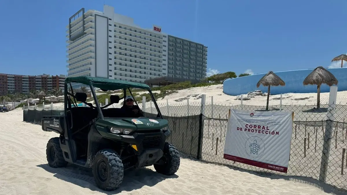 Cancun refuerza la proteccion de sus tortugas marinas