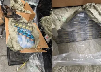Decomisan mas de 5 4 millones de cigarros en la aduana del AICM llegaron desde Singapur