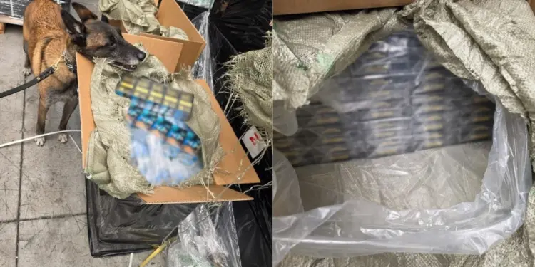 Decomisan mas de 5 4 millones de cigarros en la aduana del AICM llegaron desde Singapur
