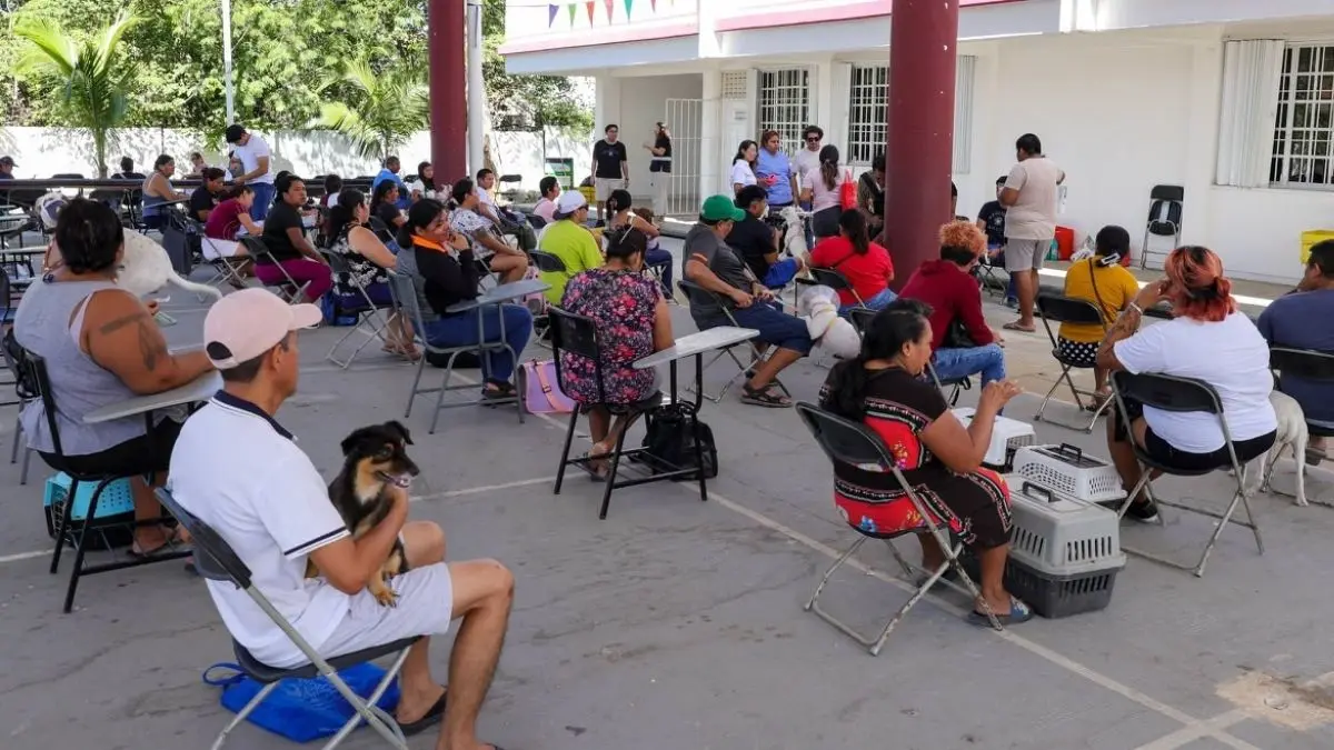IMPA realiza 150 esterilizaciones gratuitas en Cancun