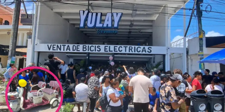 Borrador automático