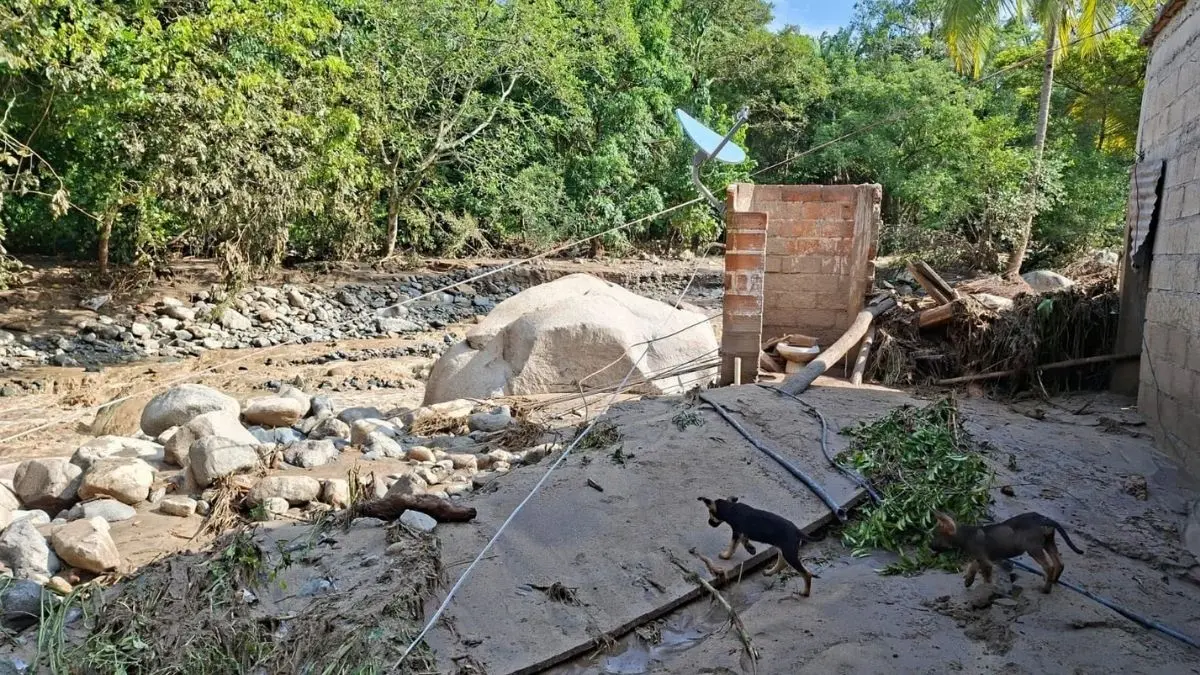 Polo deja dos menores muertos tras ser arrastrada una vivienda en Talpa de Allende