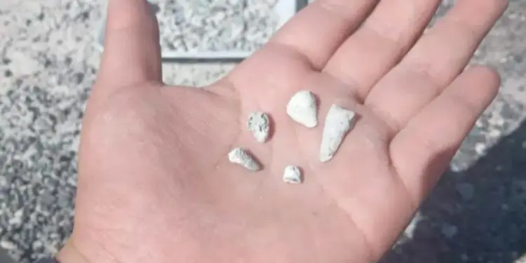 Zacapu denuncian hallazgo de 1600 dientes de leche en presuntas fosas clandestinas