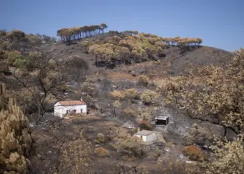 El Gobierno declara zonas gravemente afectadas por terremotos e incendio en Niebla