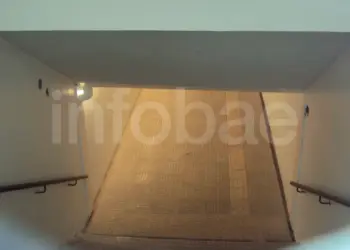 Responsabilidad del municipio por caída en túnel peatonal: fallo judicial