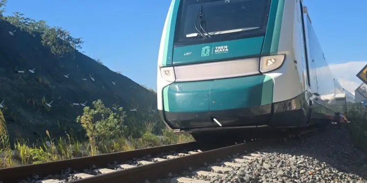 PDC: Incertidumbre ambiental tras descarrilamiento del Tren Maya