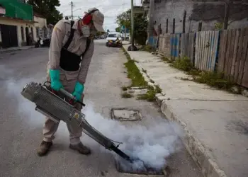 Quintana Roo concentra 8 de cada 10 casos de dengue de la Península: 232 en la semana 34
