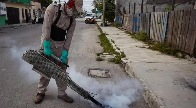 Quintana Roo concentra 8 de cada 10 casos de dengue de la Península: 232 en la semana 34