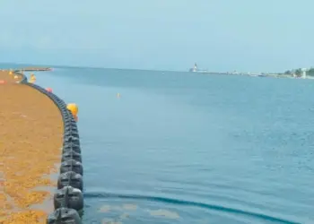 Pescadores de Quintana Roo integrados en captura de sargazo