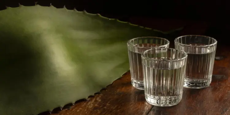 Por qué se dispara el precio del mezcal artesanal