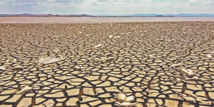 La sequía en el sureste aumenta pese a lluvias recientes