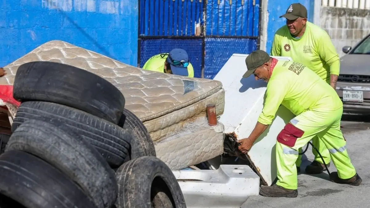 Brigada de descacharrizaciOn busca prevenir criaderos de mosquitos