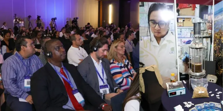 Cancun reune a 45 paises para buscar soluciones al problema del sargazo