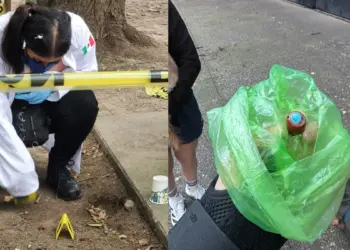 Investigan muerte de dos perros por posible envenenamiento en el Parque España