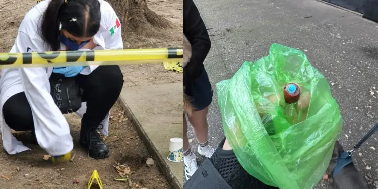 Investigan muerte de dos perros por posible envenenamiento en el Parque España
