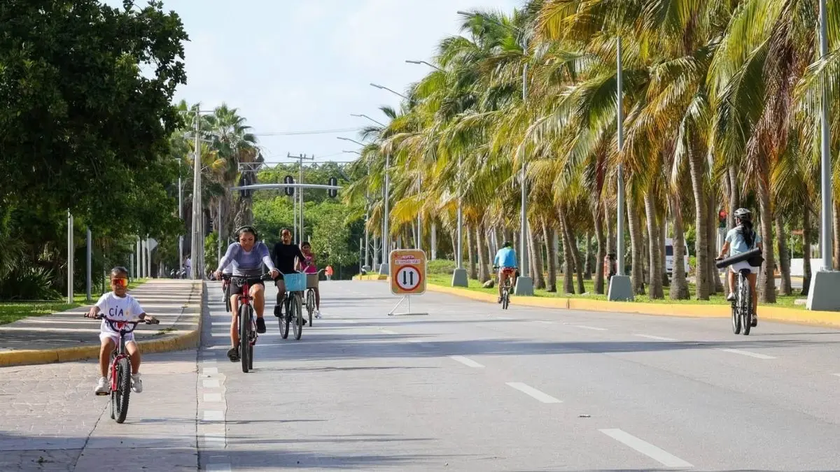 Paseo Cancunense Nocturno