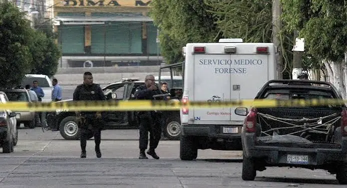 Siete personas son asesinadas en Guanajuato durante las últimas 24 horas; atacan una florería con bombas molotov