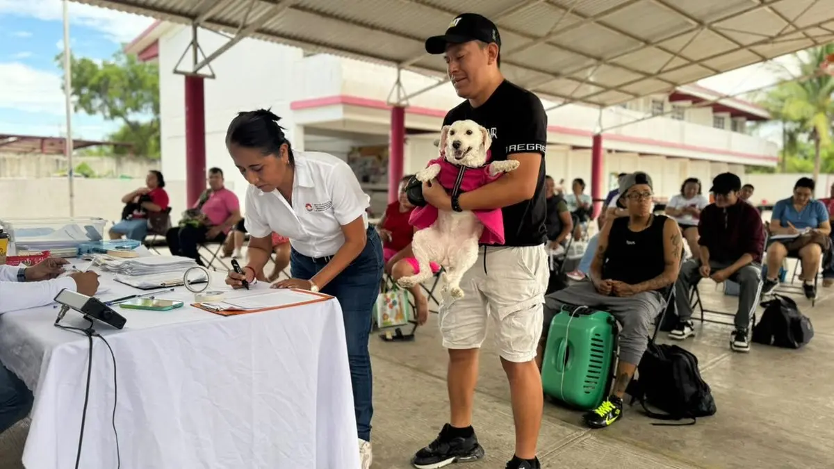 Registro de mascotas en la campaña de esterilización de la SM 259 en Cancún
